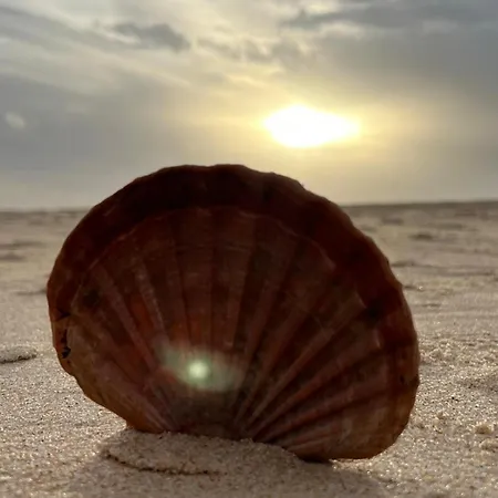 Lotamar19 Manta Rota