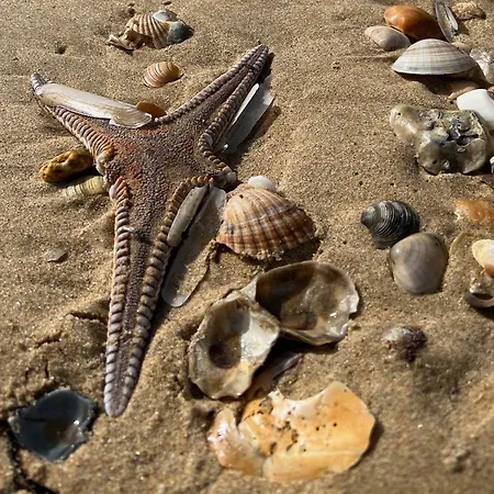 Hébergement de vacances Lotamar19 Manta Rota