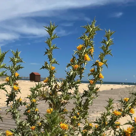 Hébergement de vacances Lotamar19