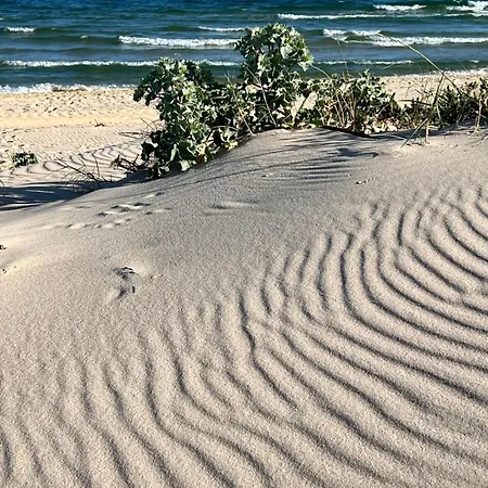 Lotamar19 Casa de Férias Manta Rota