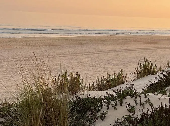 Lotamar19 펜션 만타로타