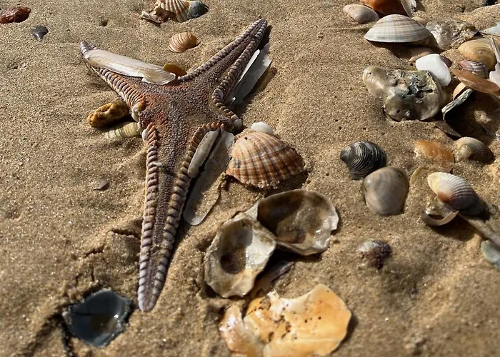 펜션 Lotamar19 만타로타