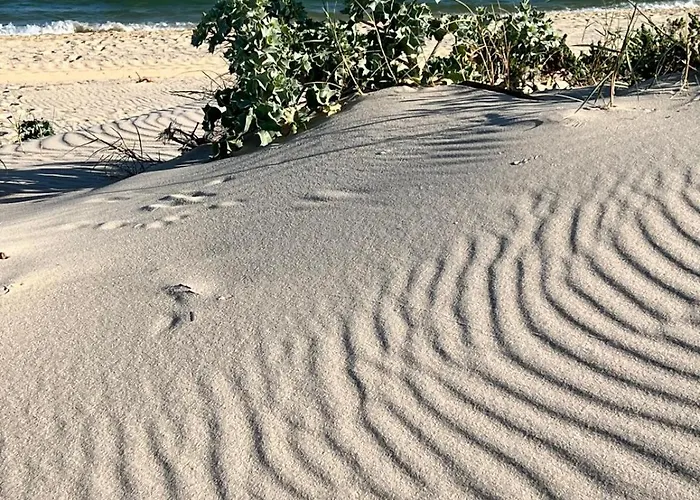 Lotamar19 펜션 만타로타