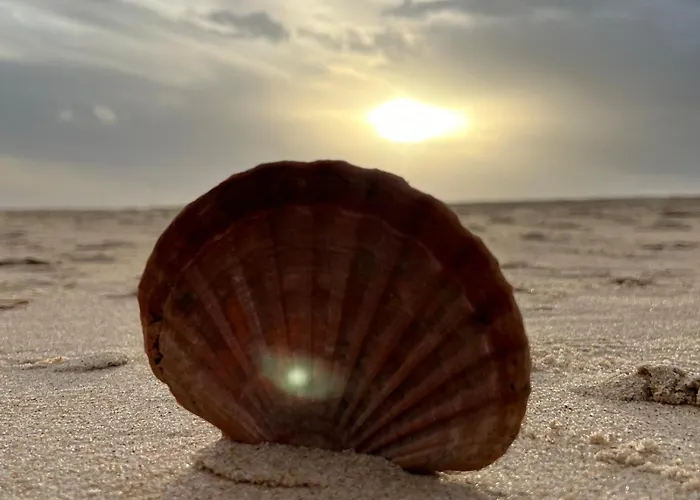 Lotamar19 만타로타